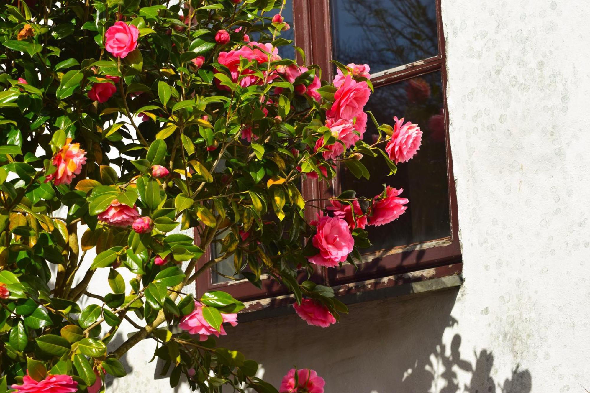 Hustyns Hotel Saint Wenn エクステリア 写真